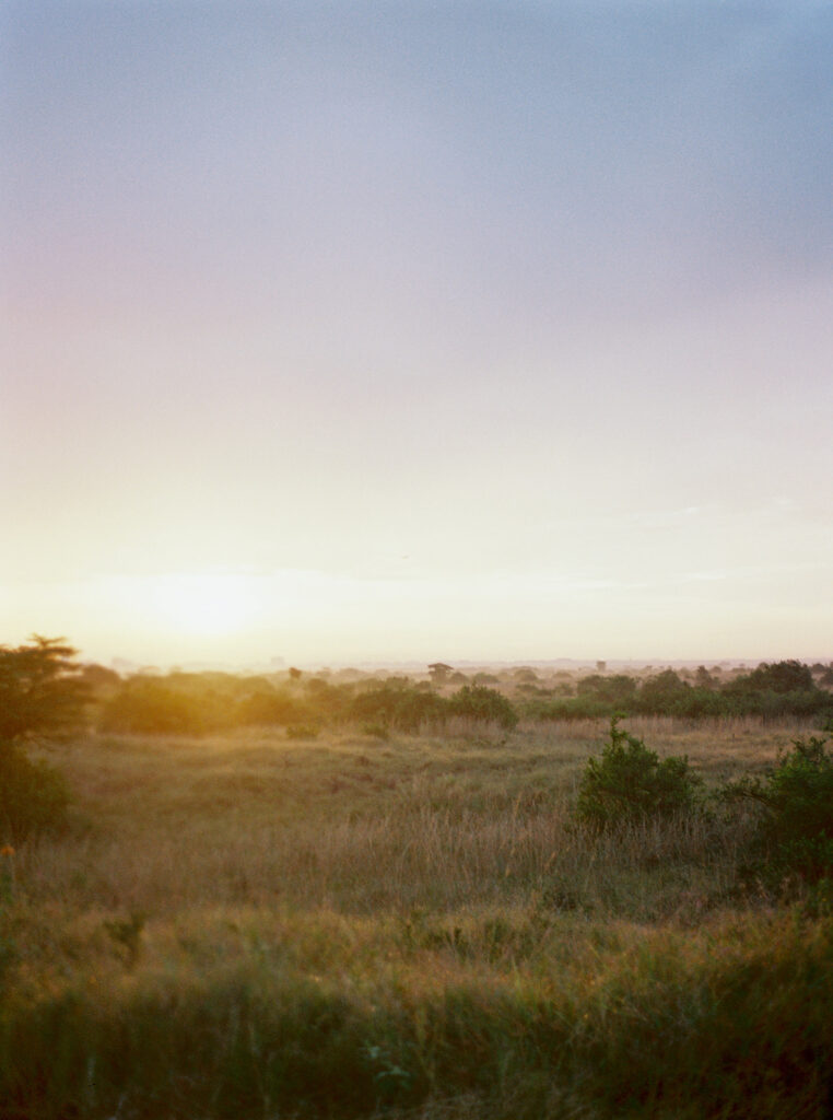 voyage au kenya : lever de soleil sur le nairobi national park